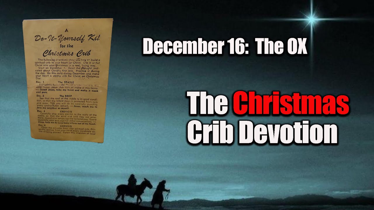 The Christmas Crib, December 16: The Ox