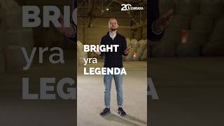 BRIGHT yra LEGENDA - per 7 metus Lietuvos AVTS BRIGHT 4 kartus tapo derlingiausia veislė.