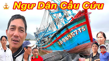 Hàng Chục Ngư Dân Cầu Cứu Đem Tàu Xuống Sau Bão Quỷ Số 13 || Đề Gi - Tỉnh Gia Lai 2025