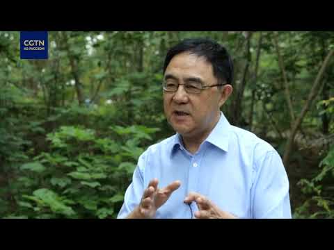 В Китае продолжает набирать обороты кампания по массовой вакцинации