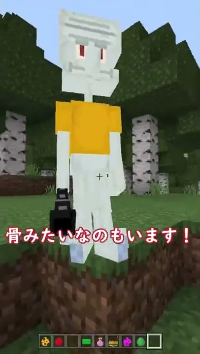 マイクラスポンジボブget仕方