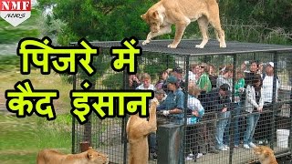 यहां जानवर नहीं इंसान होते हैं पिंजरों में कैद |Don’t Miss !!!