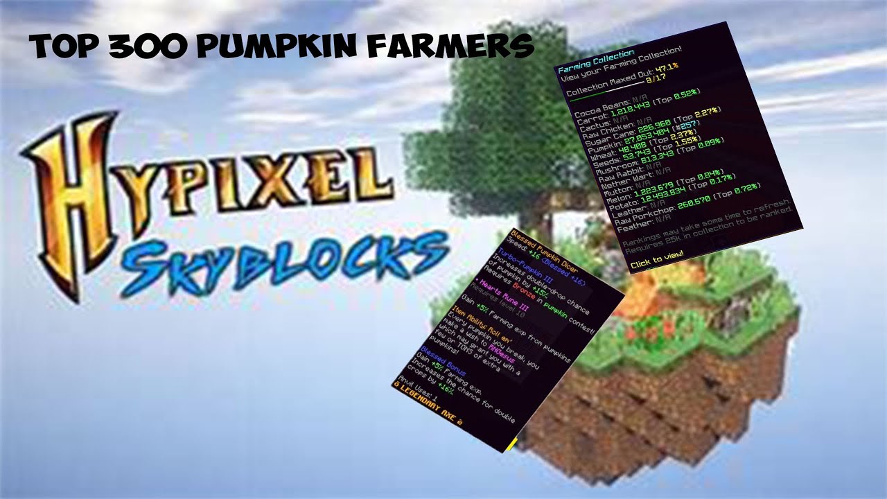 How i got into the top 300 pumpkin farmers in hypixel skyblock YouTube