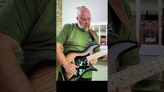 F Bass VF4-PJ Flamed Maple Fingerboard