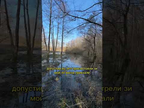 ⚠️Как выкупать участки за % от кадастровой стоимости у меня в телеге ак111ка