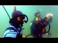 Divers Catch Sword Fish using ONLY Metal Detectors!!