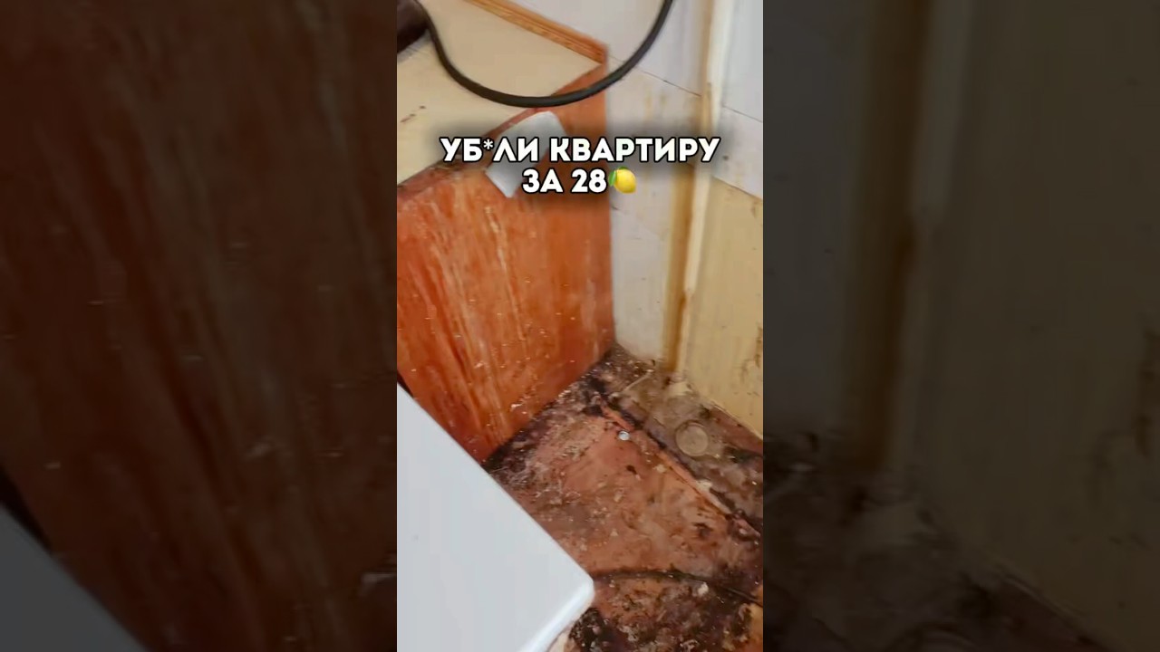 Арmитикул WB👇🏼