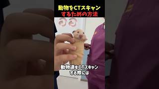 愛おしすぎる