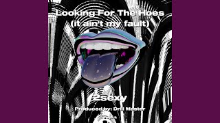 Looking For The Hoes (it ain't my fault)