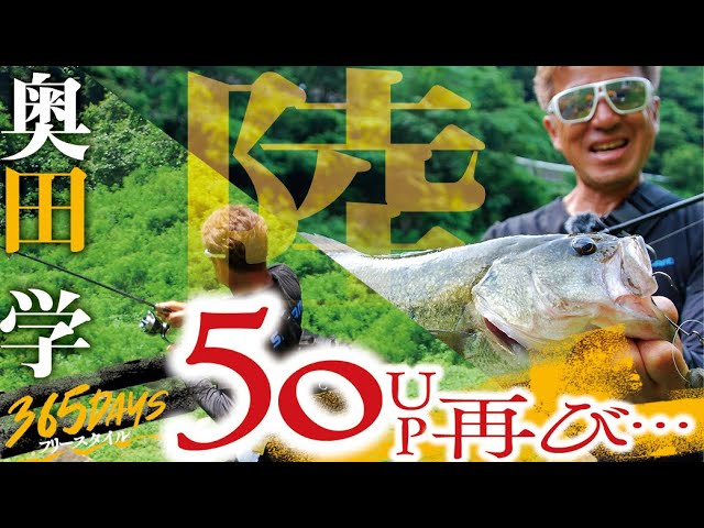 The Evolving Big Bait Attack: 