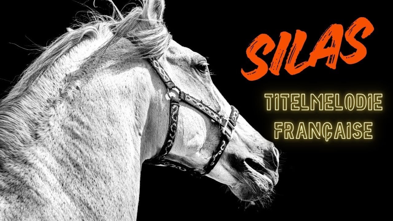 Dominique Pankratoff: "Silas, la vie est une folie..." | Franz. Intromusik zur Serie "Silas" - REMIX