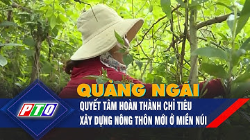 Quảng Ngãi: Quyết tâm hoàn thành chỉ tiêu xây dựng nông thôn mới ở miền núi   | PTQ