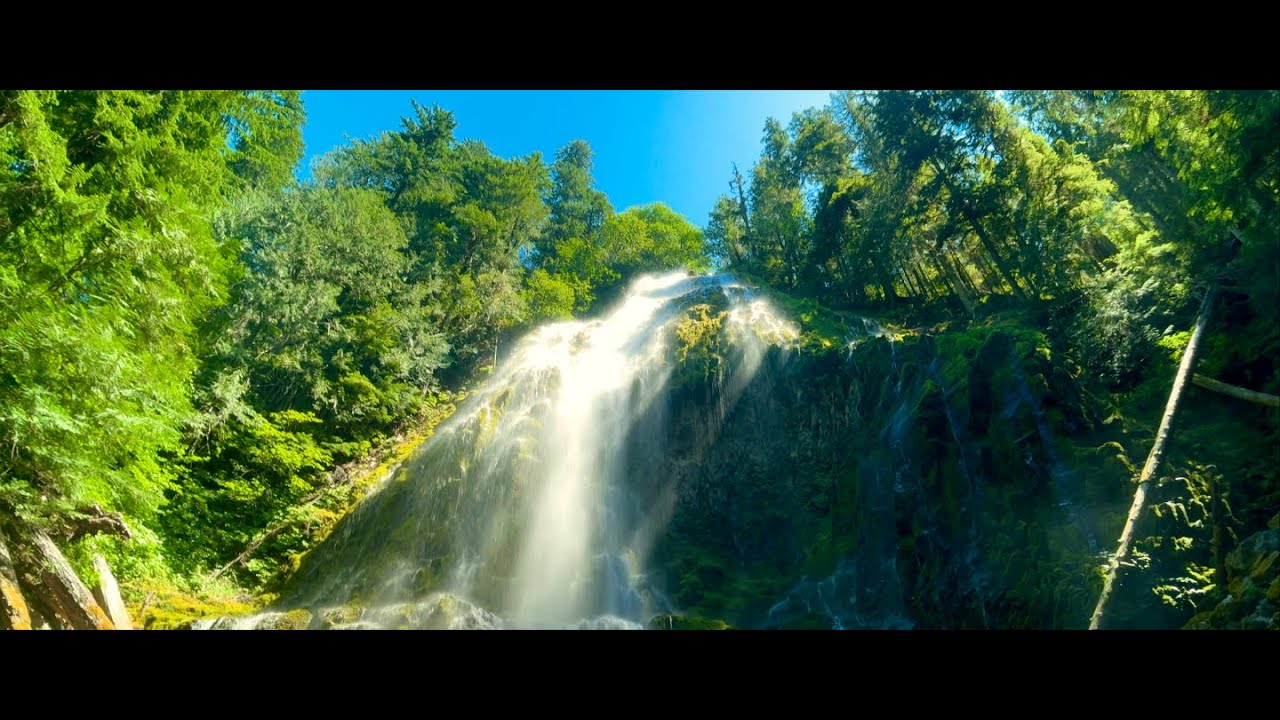 Oregon Waterfalls & Chillhop Beats | Proxy Falls in Willamette National Forest | Nature & Music 203