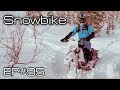 Первый раз в этом сезоне сел на Snowbike! Ep#95