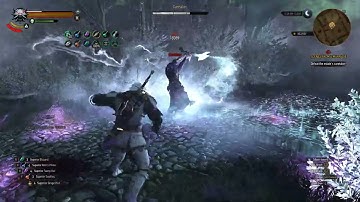 The Witcher 3 Next Gen Caretaker fight with Updated Signs build (Aard variation)