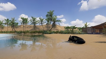 Oasis in Unity 6 with MicroVerse in 60 Seconds