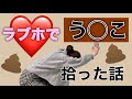 【爆笑】私がやらかした、う◯こエピソードがこちらw