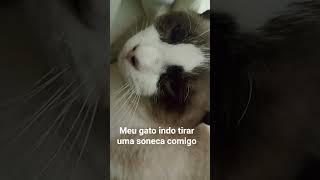 tirando soneca...