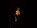 Fireworks 🎆 Very Fun Shorts #games #shorts #shortsfeed