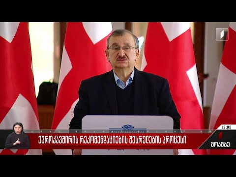 ევროკავშირის რეკომენდაციების შესრულების პროცესი