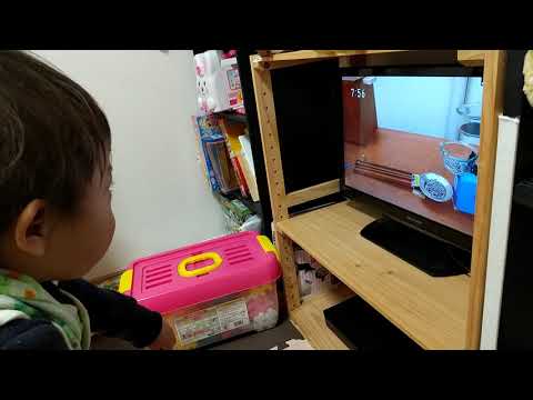 NHKピタゴラスイッチのピタゴラ装置を固唾を飲んで見守る二歳児①