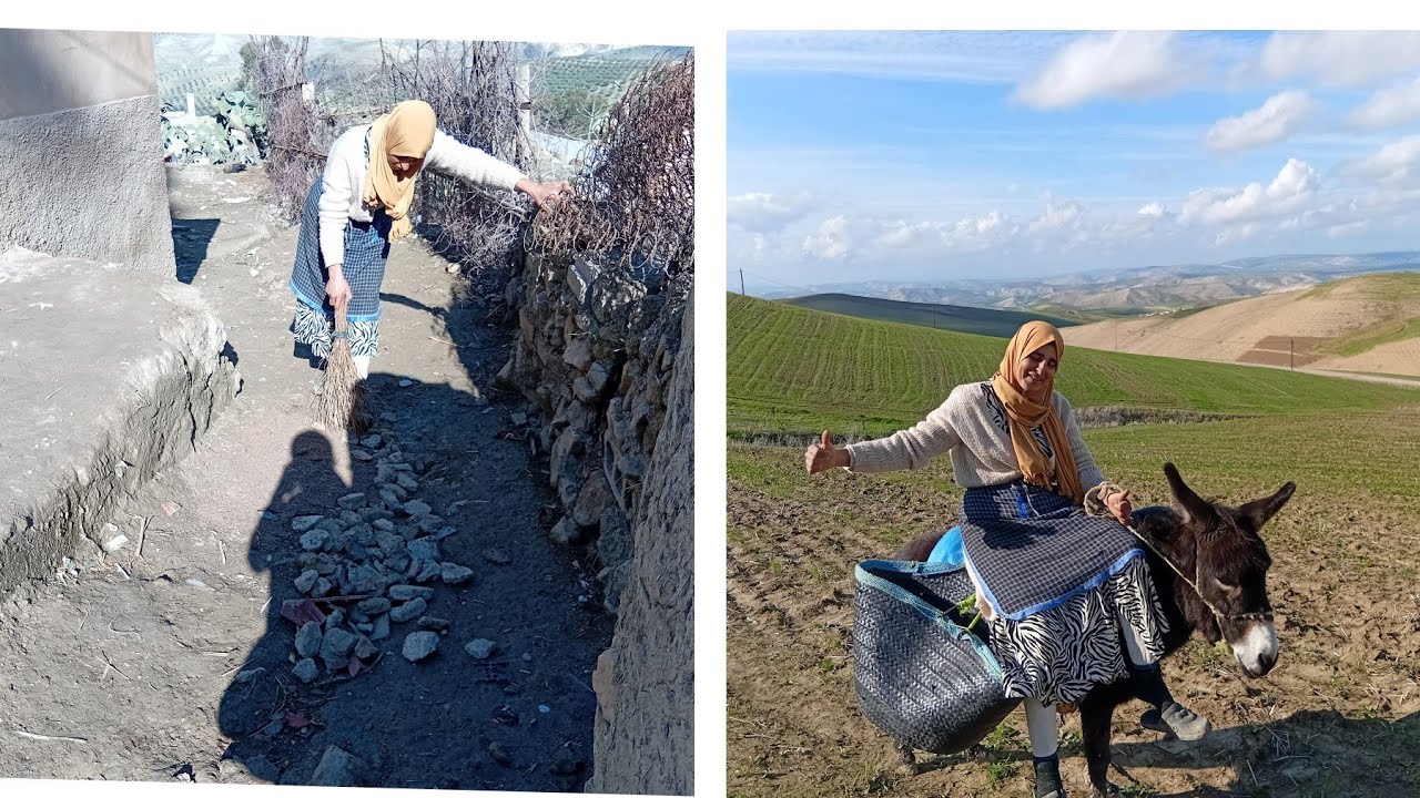 اجيو تشوفوا🤔 عزيزه اش وقع لها هذه😡 العشيه ما عندي ما ندير والله حتى كلها🤲 عندي تماره والحمد لله