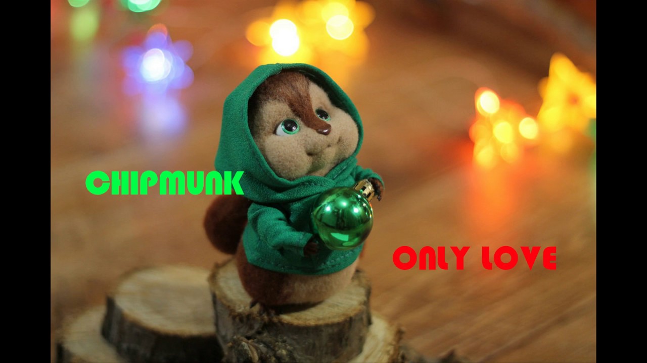 Chipmunk | Only love