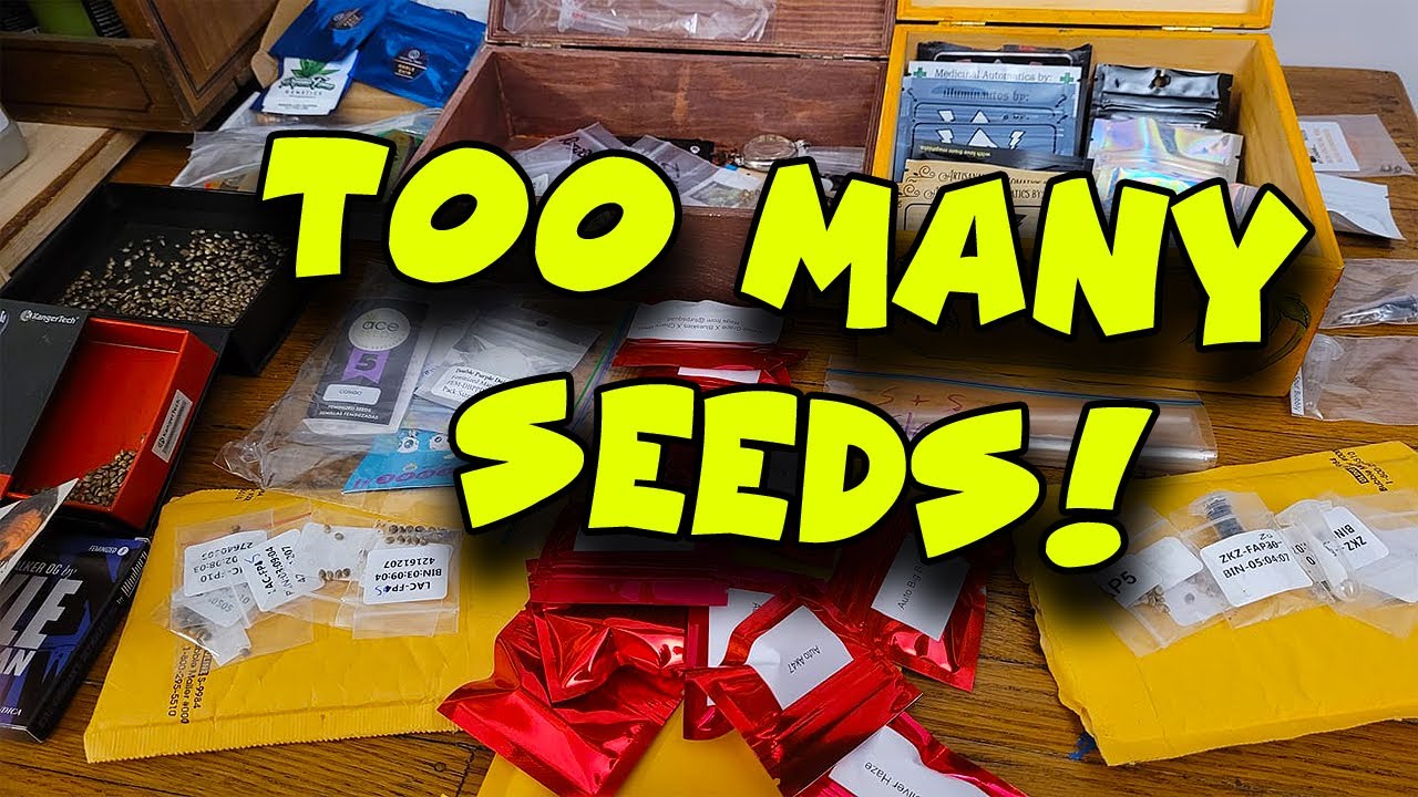 TOO MANY SEEDS & The Storage Solution ...