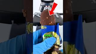 You Won’t Believe What Magnum Looks Like Up Close ‼️😱