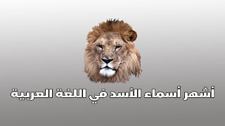 أشهر أسماء الأسد في اللغة العربية