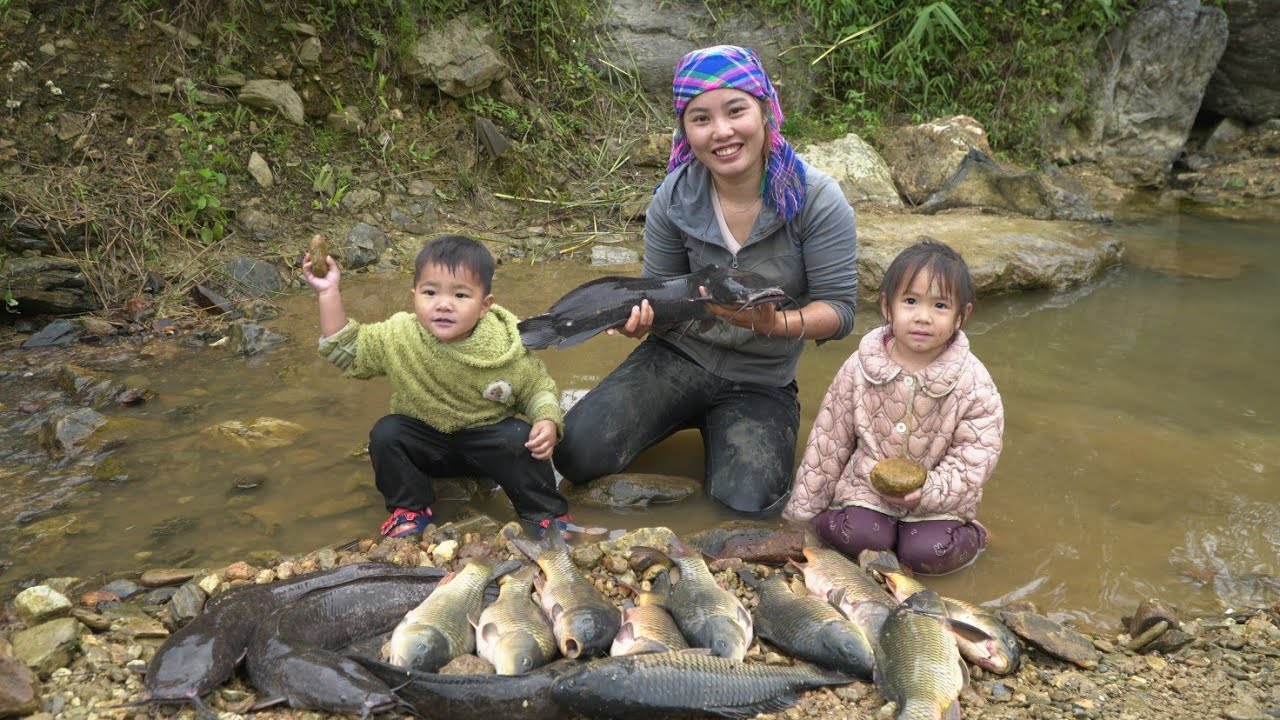 How to harvest giant carp for sale at the market - cooking with my little son.