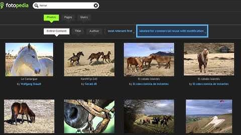 Searching for Copyright Cleared Images using Creative Commons