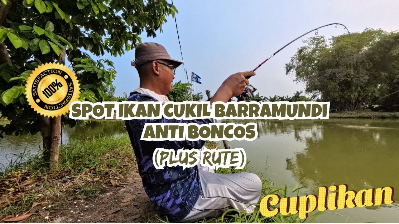 SPOT MANCING CUKIL BARRAMUNDI ANTI BONCOS PLUS RUTE, Di Tambak Sidoarjo Jawa Timur.