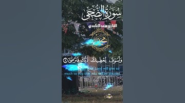 تلاوة خاشعة عطرة مباركة جميلة عذبة للشيخ سعد الغامدي سورة الضحى