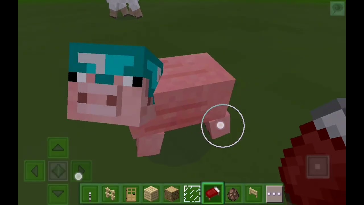 Building the village in minecraft