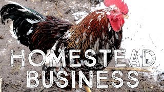 Starting a Homestead Business: Legal Structure and Tax Filing