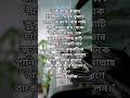 বিড়াল নিয়ে সহীহ মুসলিমের একটি সুন্দর হাদিস।#hadith #cat #hadisbangla #islam #islamic reels