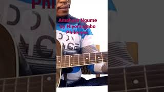 Amahoro Ngume by Niyomugabo Philemon guitar Short video by Pareke