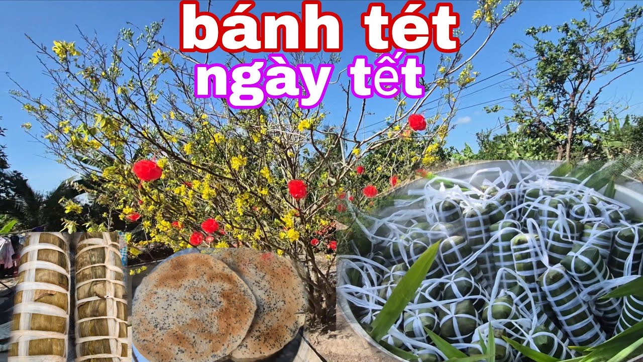 Hai tâm miền tây gói bánh tét ba ngày tết 