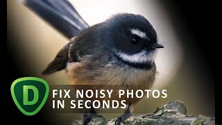 How to fix noisy photos screenshot 5
