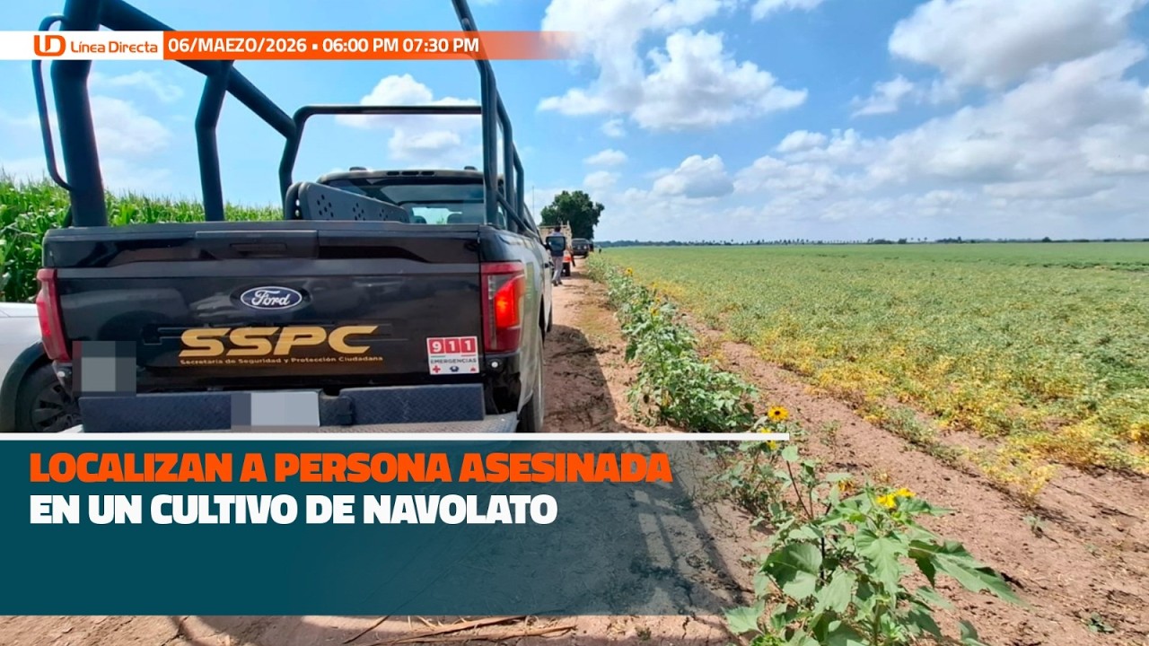 Localizan a persona asesinada en un cultivo de Navolato