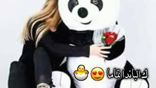 حالات واتس دب الباندا🐼🐾🌺