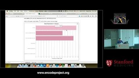 ENCODE element browser and 3D browser - Feng Yue