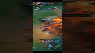 Never Bully Aldous reels mobilelegends aldous mlbb