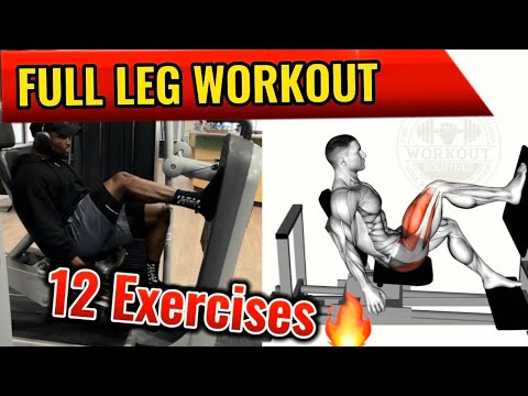 15 Minutes of Seated Leg Workout - Exercise from the Comfort of Home 