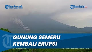 Detik-detik Gunung Semeru Kembali Erupsi, Luncurkan Lava Sejauh 4,5 Km Mengarah ke Curah Kobokan