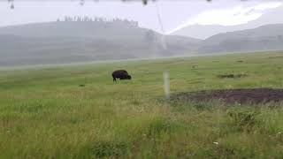 Yellowstone Wild West Cookout Wagon Ride 2016