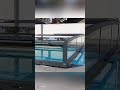 Keep kids + pets safe with this cover 🐾#swimmingpool #cover #pool #design #modern #outdoorliving