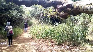 Ngong Hills Hunted Stretch