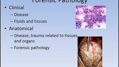 Forensic pathology pt 1